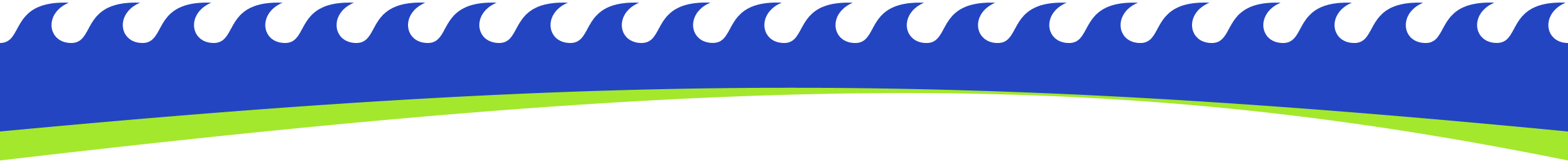 DNS Travels Logo